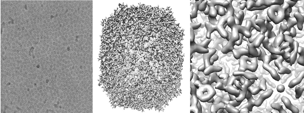 Nobel Prize In Chemistry 2017 Recognizes Key Developments In Cryo ...