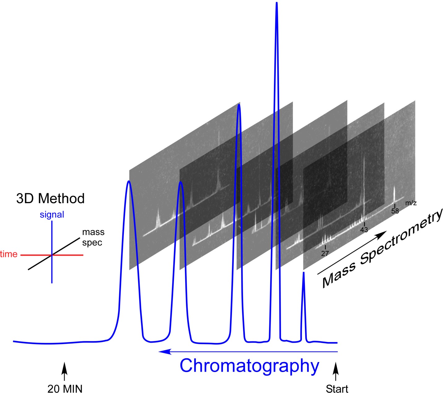 gas chromatography mass spectrometry analysis