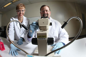Purdue researchers Catherine Hill and Val Watts are designing insecticides that disrupt key molecules in disease-transmitting mosquitoes. Image: Purdue Univ./Tom Campbell