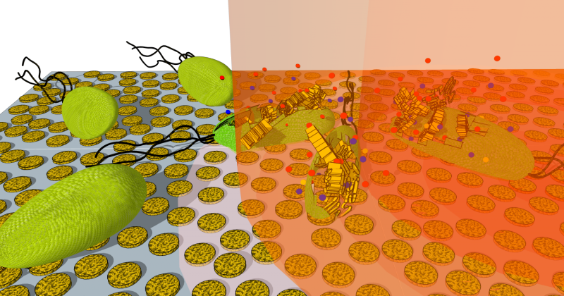 An artist's interpretation of how bacteria cells on a nanoporous gold disk array are killed after exposure to near-infrared light. (Credit: Greggy M. Santos and Wei-Chuan Shih)