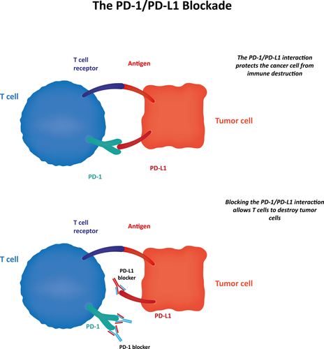 Cancer Immunotherapy (Nivolumab) (Source: Shutterstock)